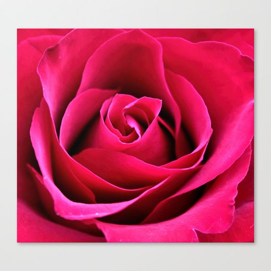 Red Rose Love Canvas Print