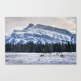 Banff National Park landscape Canvas Print