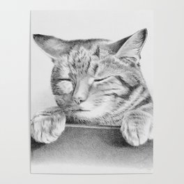 Sleepy Cat Drawing - Black White Graphic Poster