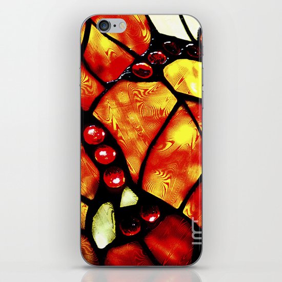 Etched Glass iPhone & iPod Skin