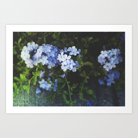 At Our Feet Art Print