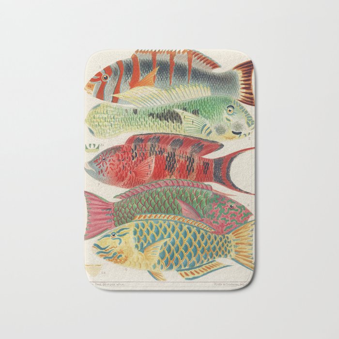 Great Barrier Reef Fishes from The Great Barrier Reef of Australia (1893) by William Saville-Kent (1 Bath Mat
