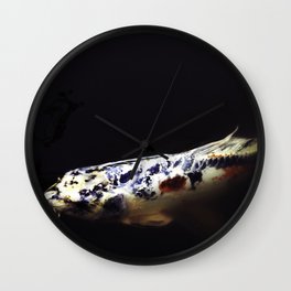 Spotted Koi Wall Clock | Digital, Japanesegardens, Water, Koi, Animal, Nature, Fish, Photo 