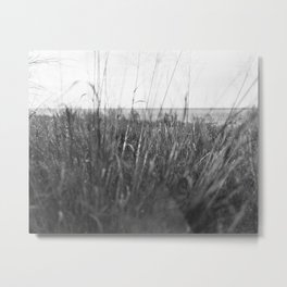 Ray Roberts 03 Metal Print | Black and White, Photo, Nature, Landscape 