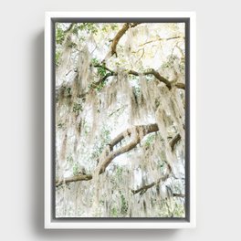 Savannah Spanish Moss XIV Framed Canvas