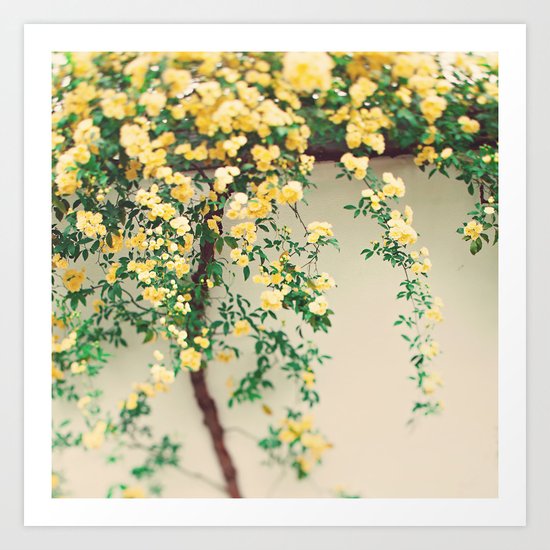 Sunny Days Art Print