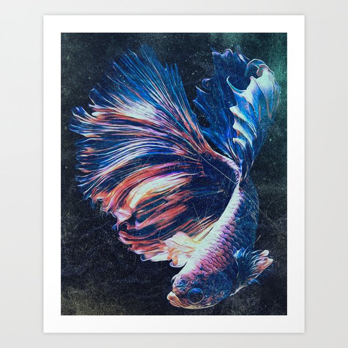 Betta Fish Art Print By Hellnoo Society6