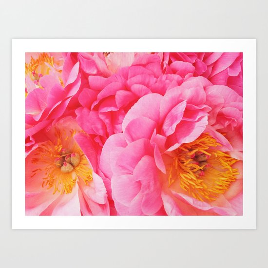 Hot Pink Peony Art Print