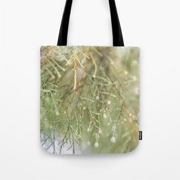 Nature's Beauty - Closeup photograph of a green pine tree - Travel & Botanical Photography Tote Bag