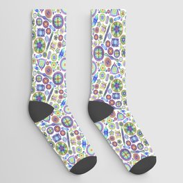 Ernst Haeckel Rainbow Diatom Tossed Socks