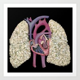 Fetal Heart with Baby's Breath Lungs Art Print