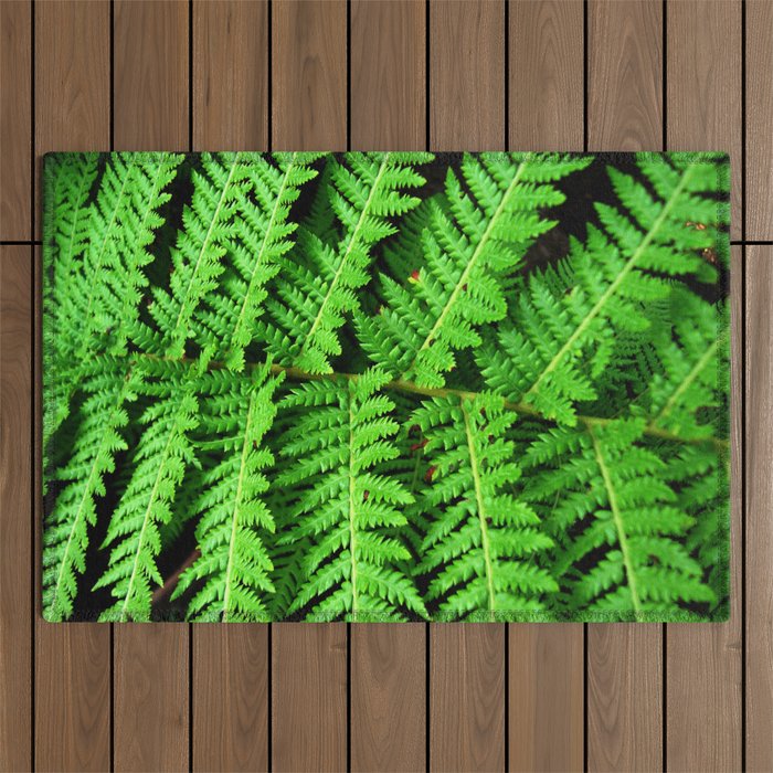 FF02 - fern Outdoor Rug