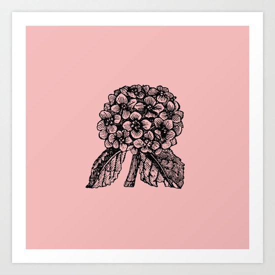 Pink Hydrangea Art Print