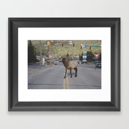 Elk Walking Framed Art Print