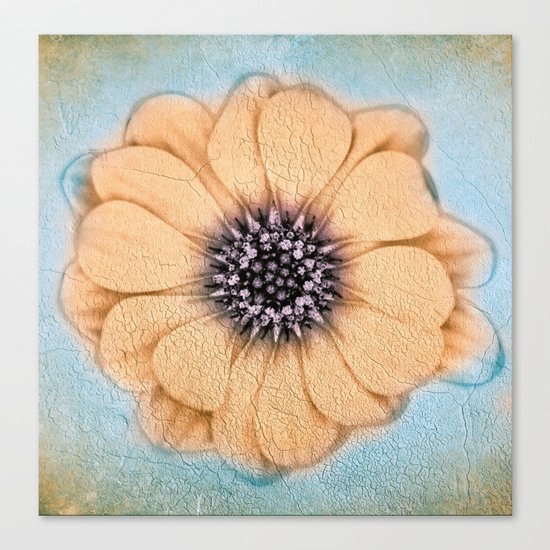 Ella Canvas Print