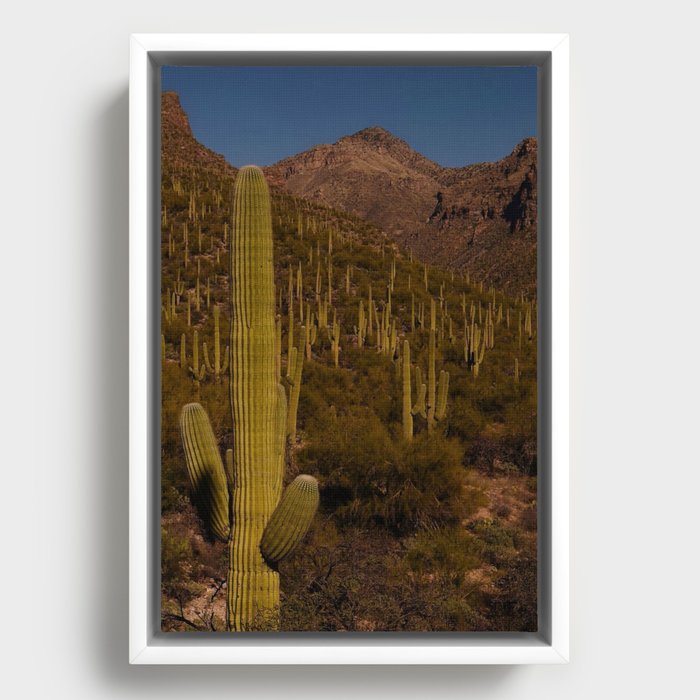 Framed Canvas
