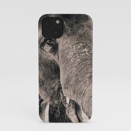 Elephant Kisses iPhone Case