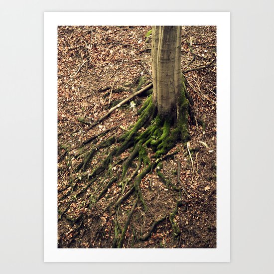 green moss Art Print