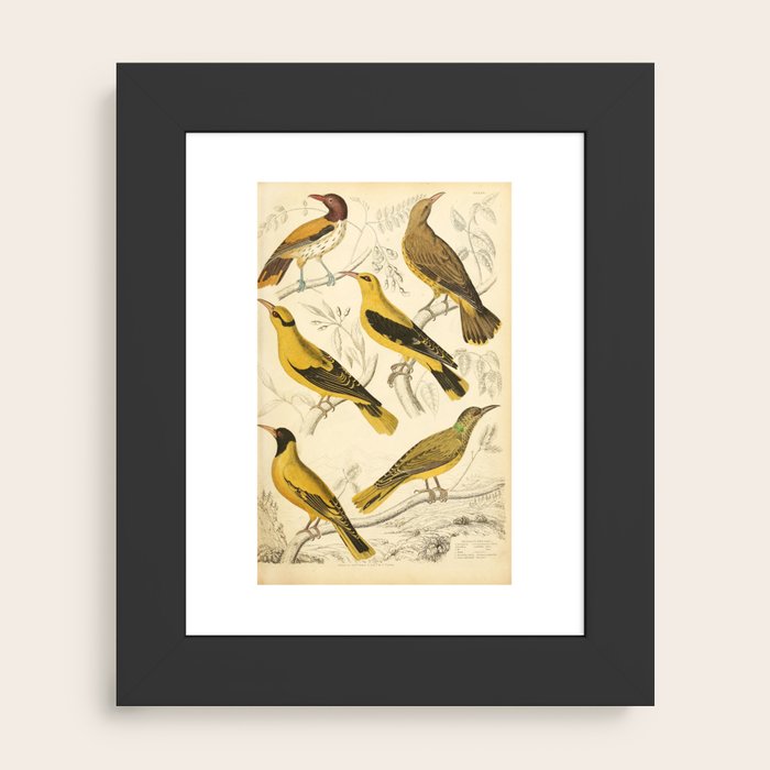 Framed Art Print