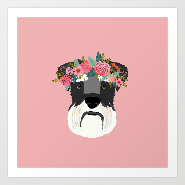 Crown schnauzers top