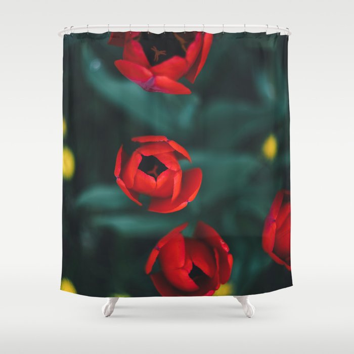 Red roses yellow Shower Curtain