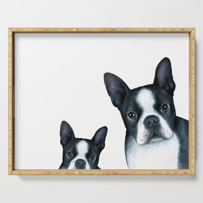 Dog 128 Boston Terrier Dogs black and white Serving Tray