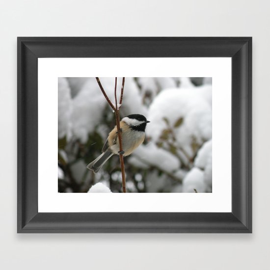 winter chickadee Framed Art Print