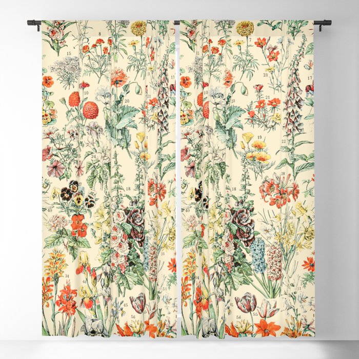 Wildflower Diagram // Fleurs II by Adolphe Millot XL 19th Century Science Textbook Artwork Blackout Curtain