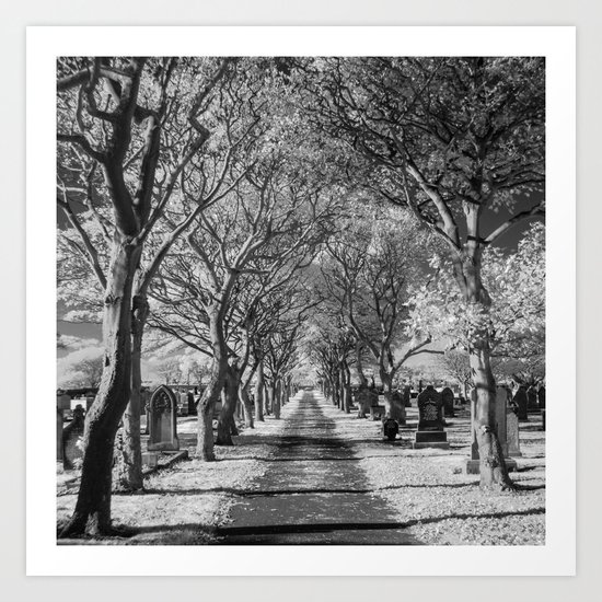 Cemetery path. Art Print