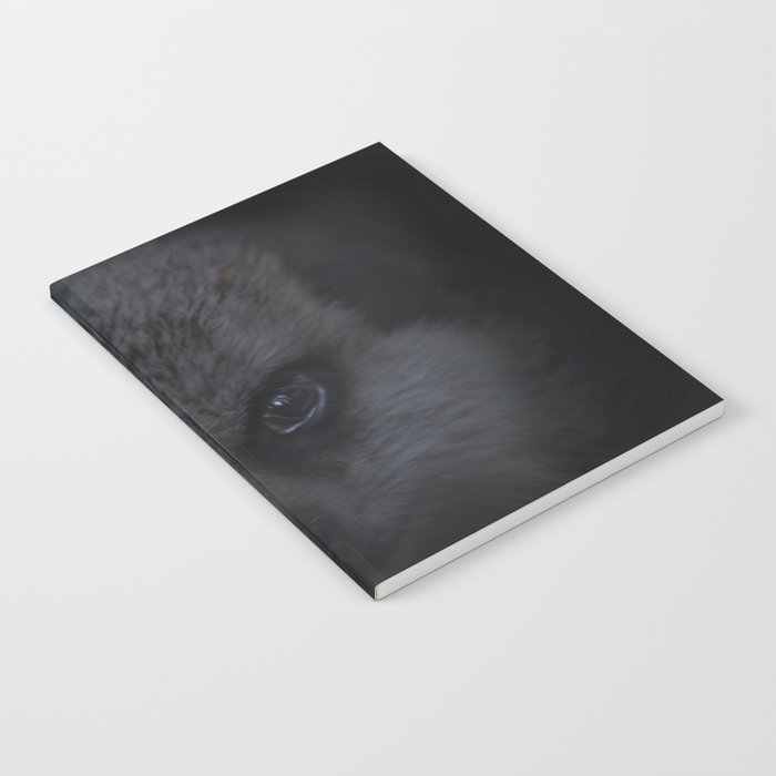 Meerkat portrait Notebook