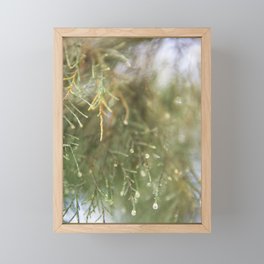 Pine Tree close up - Nature & botanical photography - Green simplistic image Framed Mini Art Print