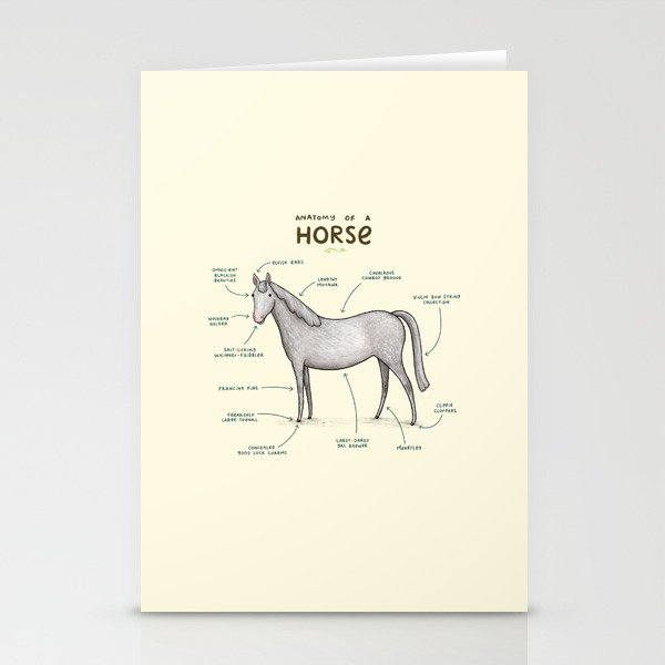 Anatomy of a Horse Stationery Cards