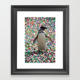 pinguino Framed Art Print