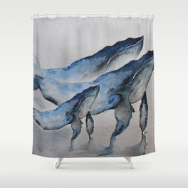 Blue whales Shower Curtain