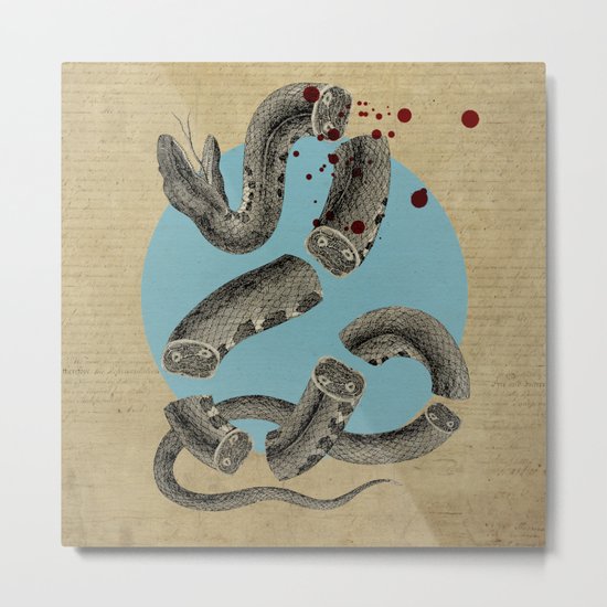 Snake Metal Print