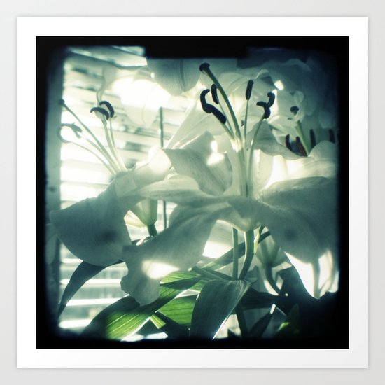White lilies Art Print