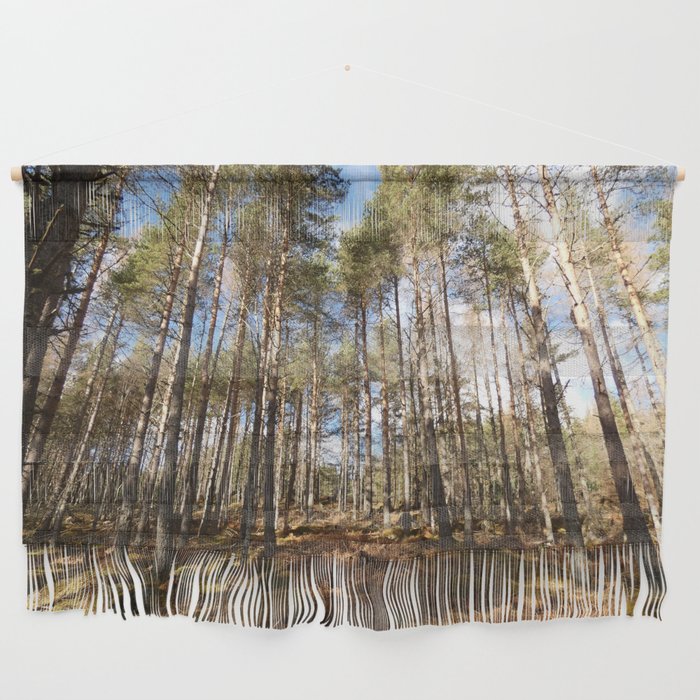 Scottish Highlands Spring Sun Kissed Trees Wall Hanging