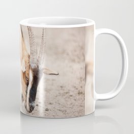 domesticated goats eating from sand Coffee Mug