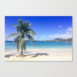 Caribbean Palm Tree Beach Secret Harbor Canvas Print