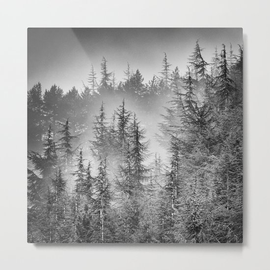 BW. Early moorning... Into the foggy woods Metal Print