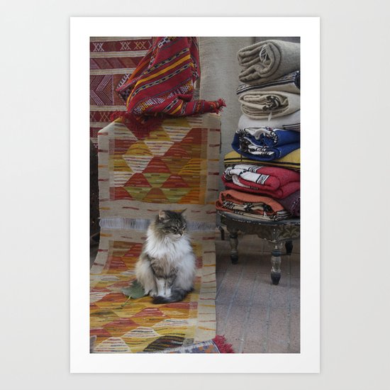 Marrakesh Cats III Art Print