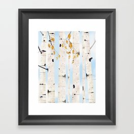 Birch Trees 3  Framed Art Print