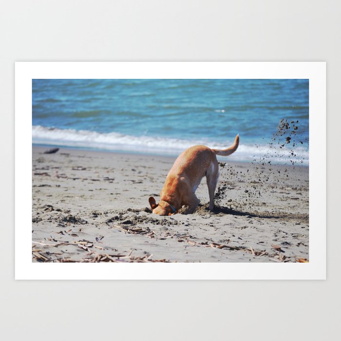 Funny Dog Beach Scene Summer Photography Art Print by Carolina