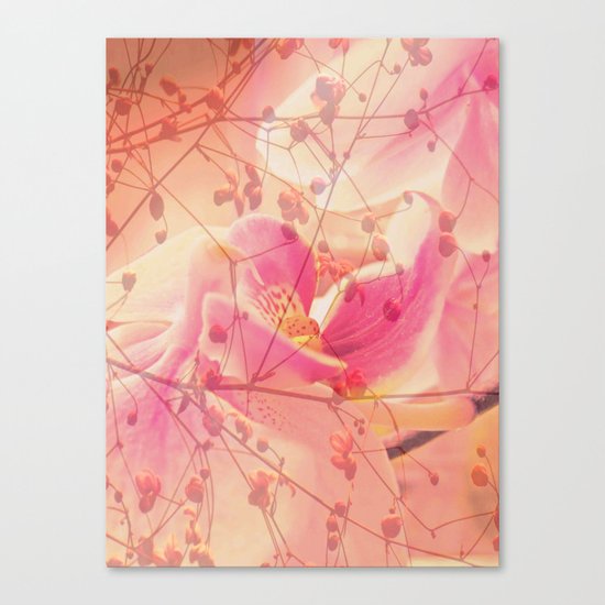 Lightfull Orchid behind little Flowers Canvas Print