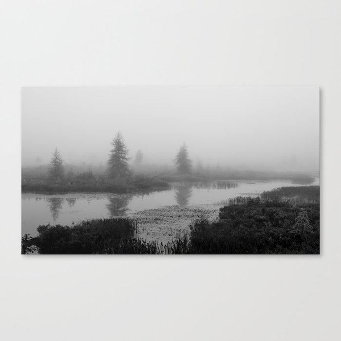 standing in the fog Canvas Print