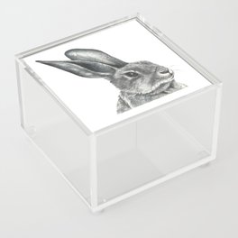 Watercolor drawing of a hare Acrylic Box