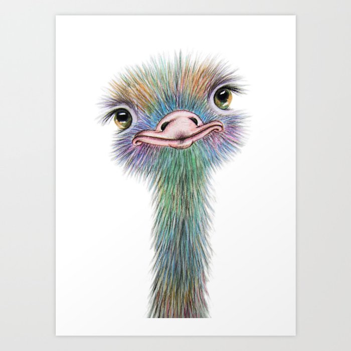 Colorful ostrich best sale