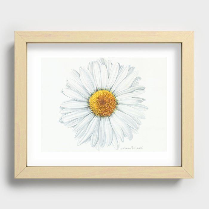 Watercolor Daisy Recessed Framed Print