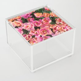 Tulip flower holland pink nature Acrylic Box