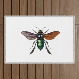 Insects,flies,bees vintage bugs,beetle art Outdoor Rug